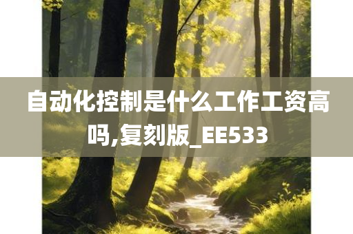 自动化控制是什么工作工资高吗,复刻版_EE533