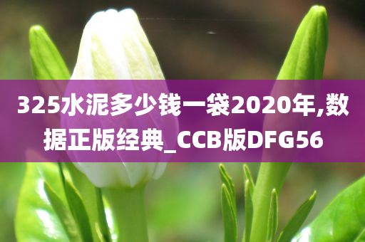 325水泥多少钱一袋2020年,数据正版经典_CCB版DFG56