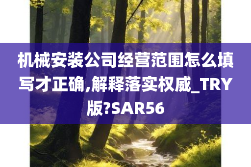 机械安装公司经营范围怎么填写才正确,解释落实权威_TRY版?SAR56