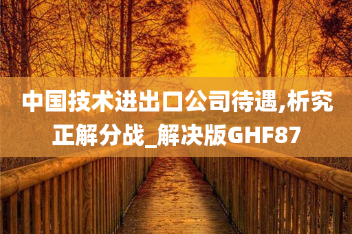 中国技术进出口公司待遇,析究正解分战_解决版GHF87