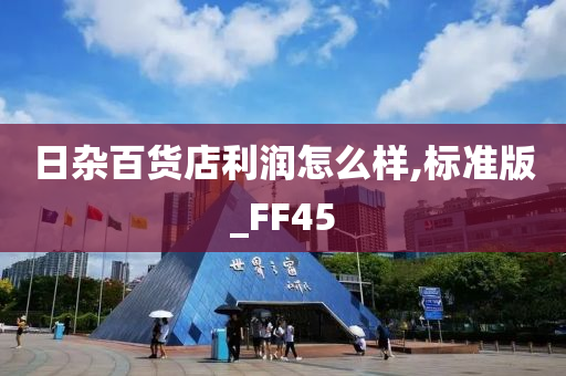 日杂百货店利润怎么样,标准版_FF45