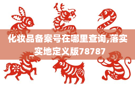 化妆品备案号在哪里查询,落实_实地定义版78787