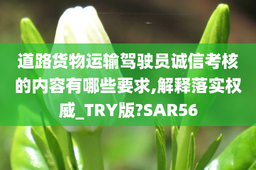 道路货物运输驾驶员诚信考核的内容有哪些要求,解释落实权威_TRY版?SAR56