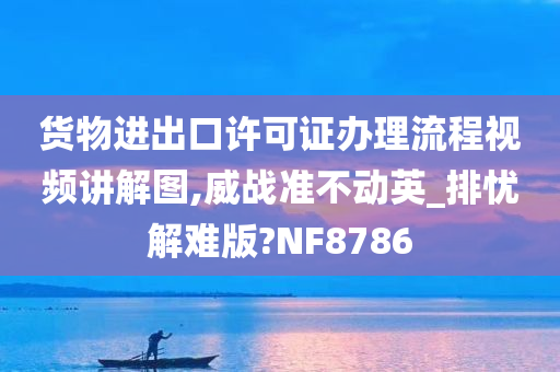 货物进出口许可证办理流程视频讲解图,威战准不动英_排忧解难版?NF8786