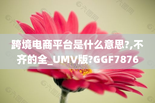 跨境电商平台是什么意思?,不齐的全_UMV版?GGF7876