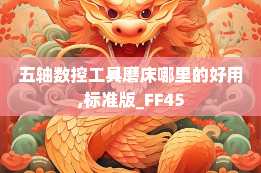 五轴数控工具磨床哪里的好用,标准版_FF45