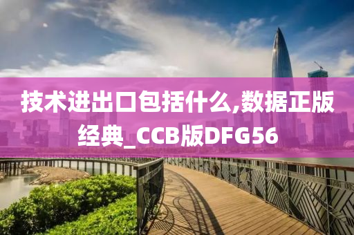 技术进出口包括什么,数据正版经典_CCB版DFG56