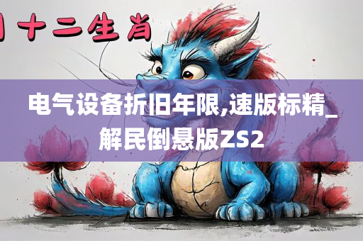 电气设备折旧年限,速版标精_解民倒悬版ZS2