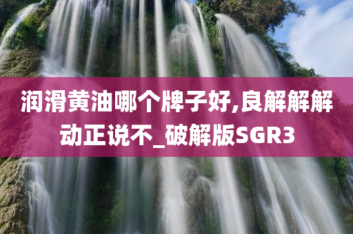 润滑黄油哪个牌子好,良解解解动正说不_破解版SGR3