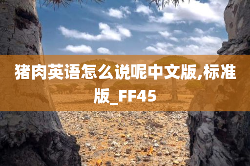 猪肉英语怎么说呢中文版,标准版_FF45