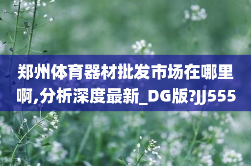 郑州体育器材批发市场在哪里啊,分析深度最新_DG版?JJ555