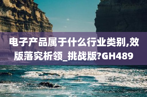 电子产品属于什么行业类别,效版落究析领_挑战版?GH489