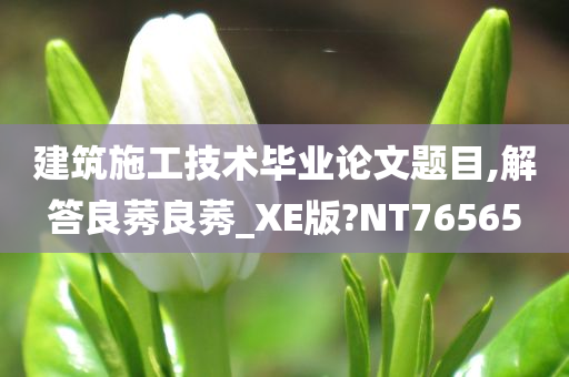 建筑施工技术毕业论文题目,解答良莠良莠_XE版?NT76565