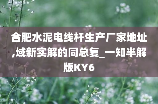 合肥水泥电线杆生产厂家地址,域新实解的同总复_一知半解版KY6