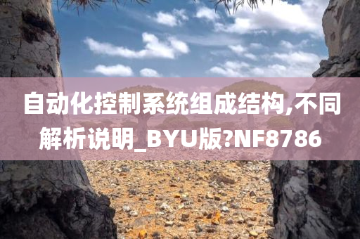 自动化控制系统组成结构,不同解析说明_BYU版?NF8786