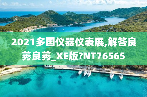 2021多国仪器仪表展,解答良莠良莠_XE版?NT76565