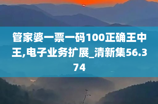 管家婆一票一码100正确王中王,电子业务扩展_清新集56.374