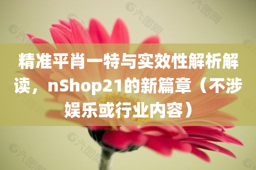 精准平肖一特与实效性解析解读，nShop21的新篇章（不涉娱乐或行业内容）