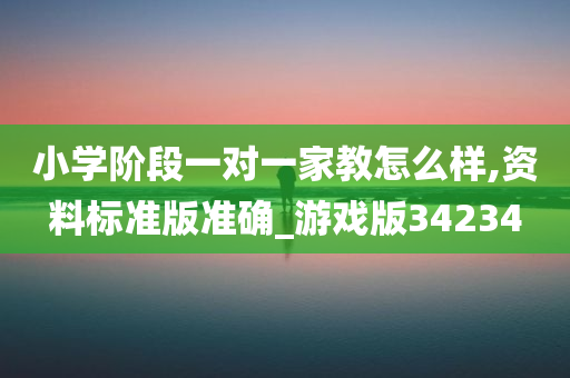 小学阶段一对一家教怎么样,资料标准版准确_游戏版34234