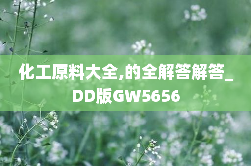 化工原料大全,的全解答解答_DD版GW5656