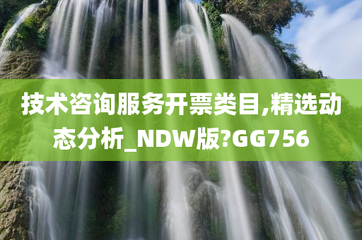 技术咨询服务开票类目,精选动态分析_NDW版?GG756