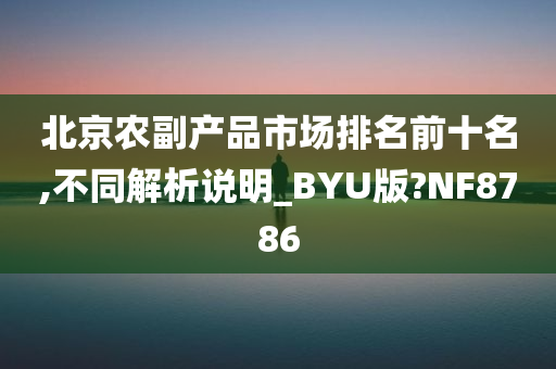 北京农副产品市场排名前十名,不同解析说明_BYU版?NF8786