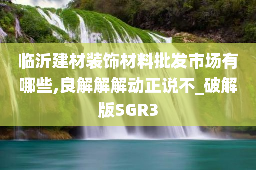 临沂建材装饰材料批发市场有哪些,良解解解动正说不_破解版SGR3