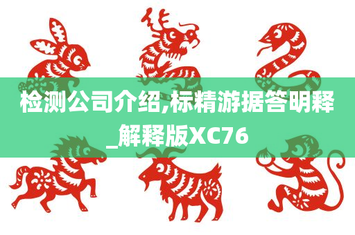 检测公司介绍,标精游据答明释_解释版XC76