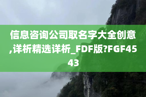 信息咨询公司取名字大全创意,详析精选详析_FDF版?FGF4543