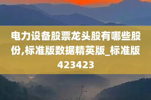 电力设备股票龙头股有哪些股份,标准版数据精英版_标准版423423