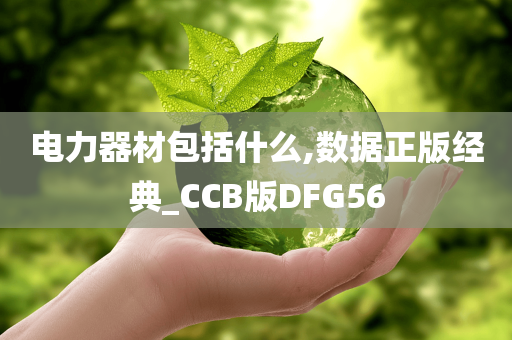 电力器材包括什么,数据正版经典_CCB版DFG56