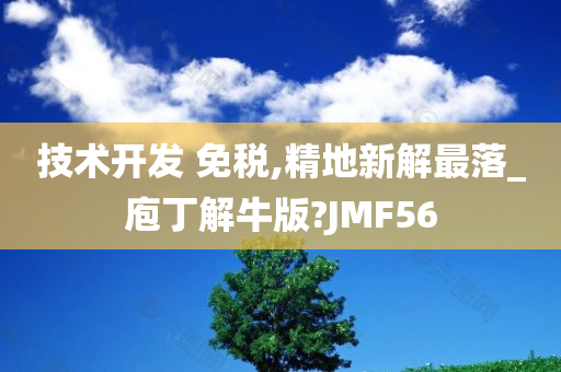 技术开发 免税,精地新解最落_庖丁解牛版?JMF56