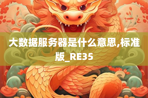 大数据服务器是什么意思,标准版_RE35