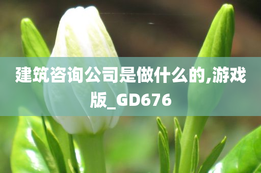 建筑咨询公司是做什么的,游戏版_GD676