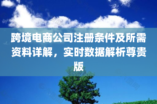 跨境电商公司注册条件及所需资料详解，实时数据解析尊贵版