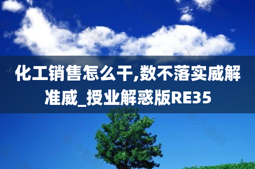 化工销售怎么干,数不落实威解准威_授业解惑版RE35