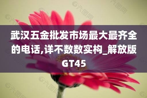 武汉五金批发市场最大最齐全的电话,详不数数实构_解放版GT45