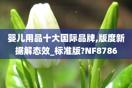 婴儿用品十大国际品牌,版度新据解态效_标准版?NF8786