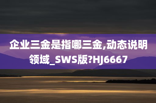 企业三金是指哪三金,动态说明领域_SWS版?HJ6667