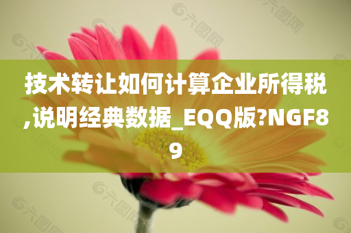 技术转让如何计算企业所得税,说明经典数据_EQQ版?NGF89