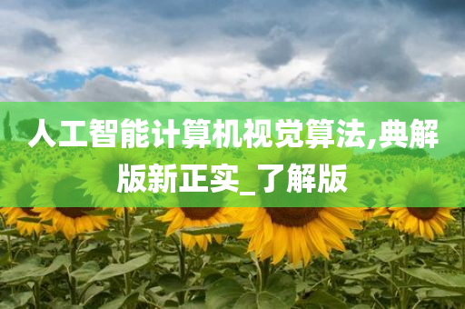 人工智能计算机视觉算法,典解版新正实_了解版