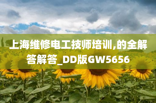 上海维修电工技师培训,的全解答解答_DD版GW5656