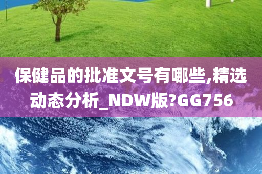 保健品的批准文号有哪些,精选动态分析_NDW版?GG756