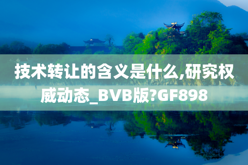 技术转让的含义是什么,研究权威动态_BVB版?GF898