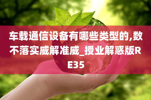 车载通信设备有哪些类型的,数不落实威解准威_授业解惑版RE35