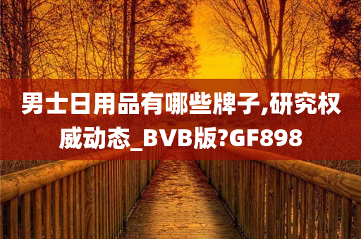 男士日用品有哪些牌子,研究权威动态_BVB版?GF898