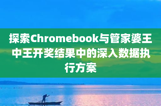 探索Chromebook与管家婆王中王开奖结果中的深入数据执行方案