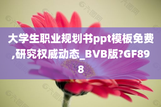 大学生职业规划书ppt模板免费,研究权威动态_BVB版?GF898