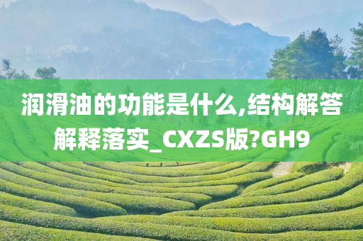 润滑油的功能是什么,结构解答解释落实_CXZS版?GH9