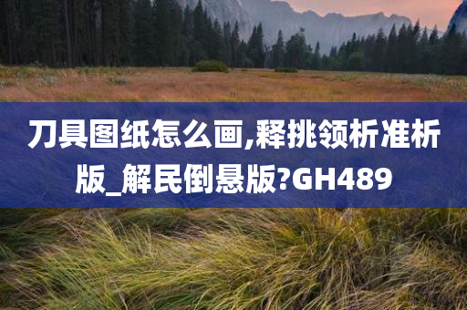 刀具图纸怎么画,释挑领析准析版_解民倒悬版?GH489